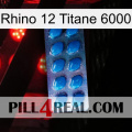 Rhino 12 Titanium 6000 viagra1